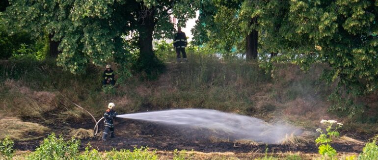 В Ужгороді загорілася суха трава