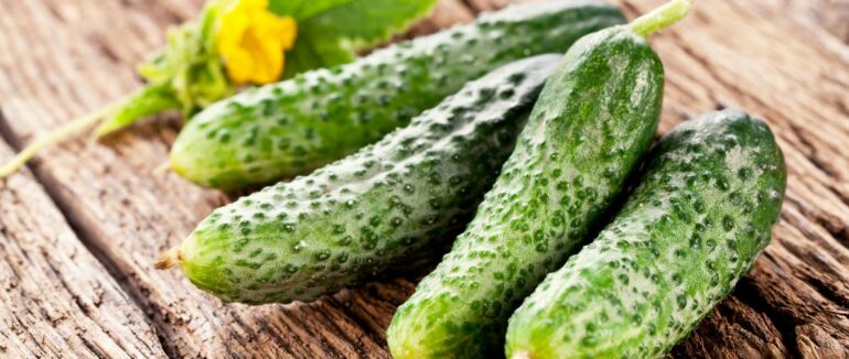 Ранні огірки: чим корисні і шкідливі
