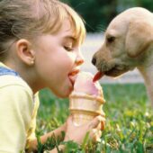 10 червня: сьогодні відзначають Всесвітній день морозива