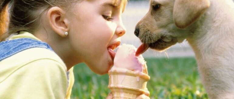 10 червня: сьогодні відзначають Всесвітній день морозива