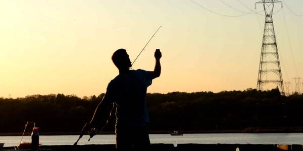 Вудки із вуглепластику, нехтування правилами безпеки: ПрАТ «Закарпаттяобленерго» нагадує, наскільки небезпечно рибалити поблизу ліній електропередач