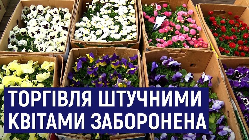 В Мукачеві заборонили продаж та використання штучних пластмасових квітів, вінків, корзин