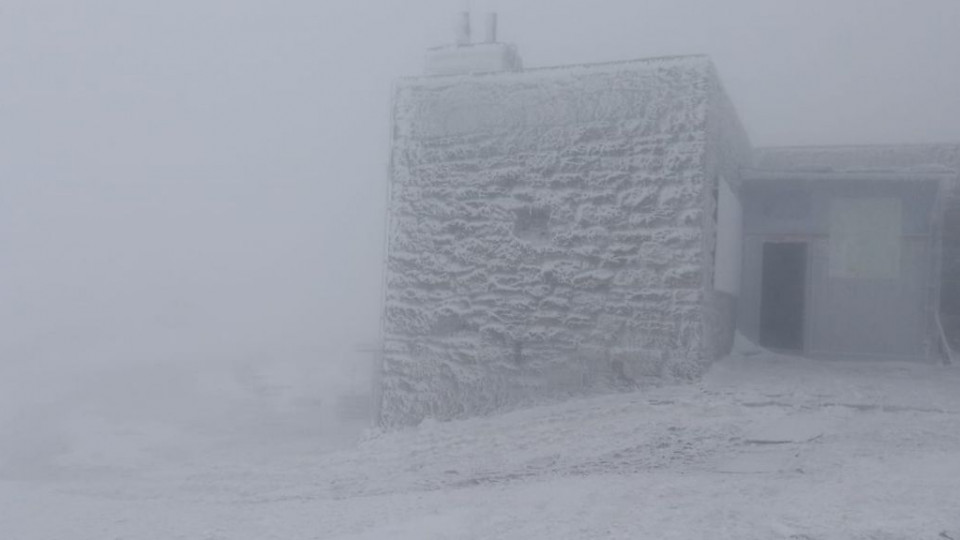 В перший день літа у Карпатах випав сніг