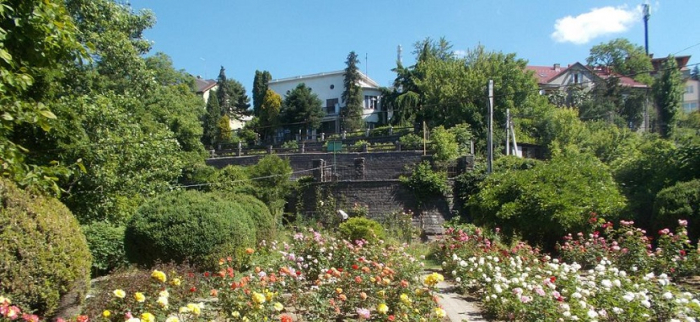 Місто Ужгород у розпалі цвітіння