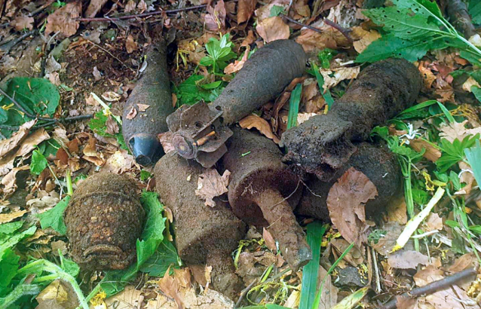 Лісова прогулянка: на Закарпатті турист виявив у дереві небезпечний сховок