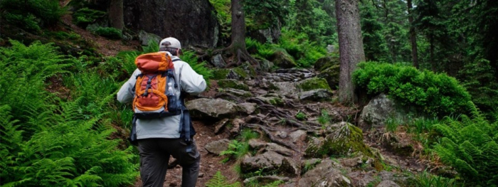 Найкращі гірські маршрути в Європі: українські Карпати потрапили до списку