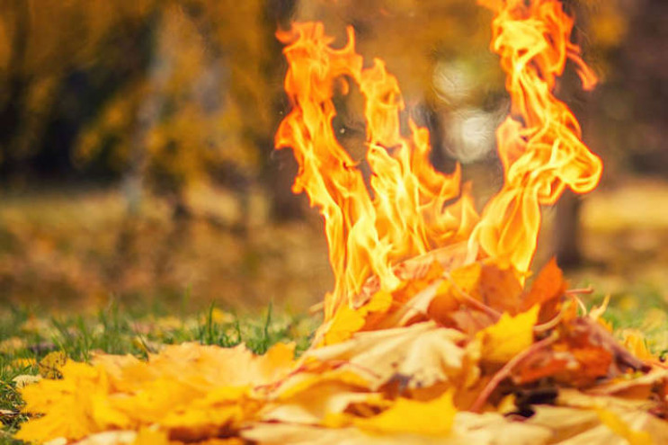 Синоптики попереджають про пожежну небезпеку у Закарпатській області