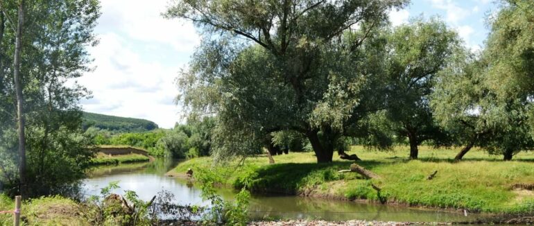 Закарпатські рятувальники долучилися до масштабної екоакції