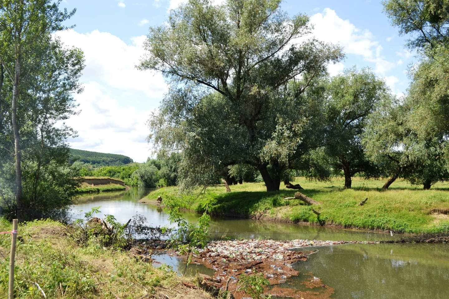 Закарпатські рятувальники долучилися до масштабної екоакції