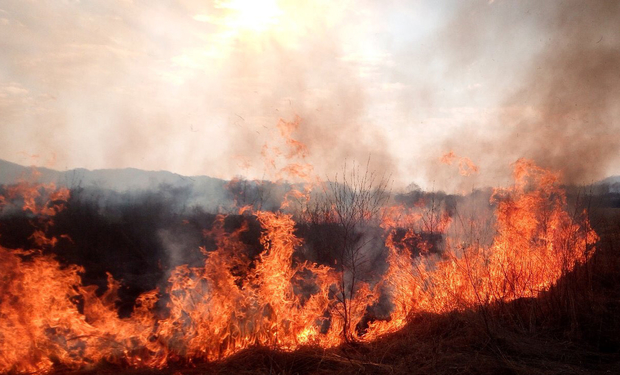 На Закарпатті пенсіонерка ледь не загинула під час пожежі