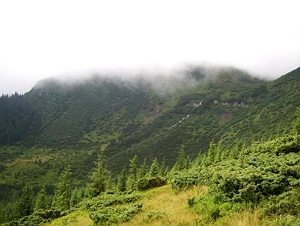 На Рахівщини рятувальники відшукали чоловіка, який зник напередодні