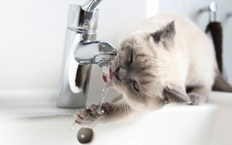 Зв`язку з аварійно-відновлювальними роботами в Ужгороді декілька вулиць залишаться без водопостачання