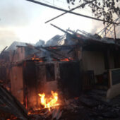 Пожежа на Берегівщині: загинули свійські тварини