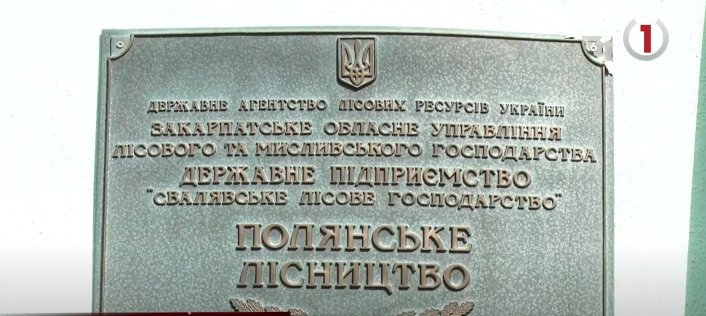 Звільнилися усі: у Полянському лісництві люди виступають проти призначення «нового» керівника  (ВІДЕО)
