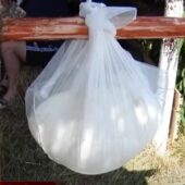 Гастрономічне свято: у Чумальові вперше відбувся «Фестиваль сиру» (ФОТО, ВІДЕО)