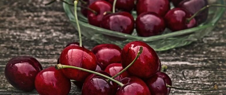Збір урожаю черешні затримується: причини