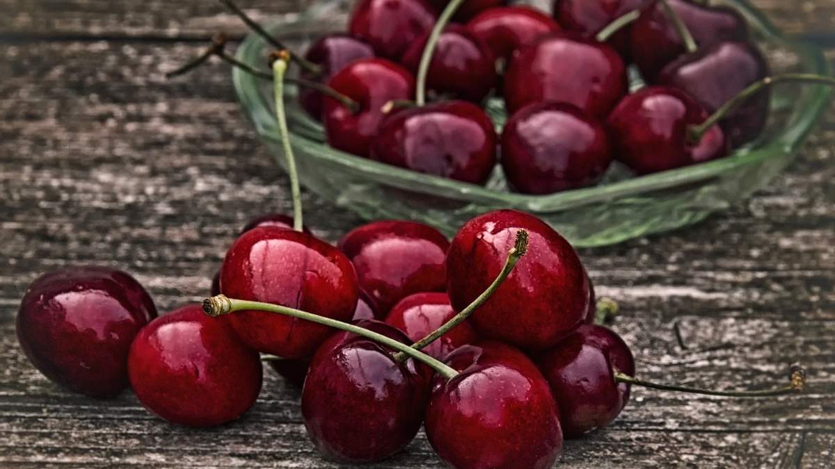 Збір урожаю черешні затримується: причини