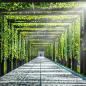 Побачити неймовірну красу без виїзду за кордон: 5 місць в Україні, де ви ще не бували