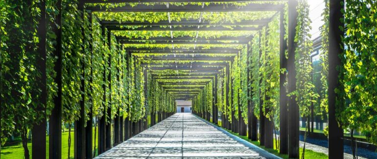 Побачити неймовірну красу без виїзду за кордон: 5 місць в Україні, де ви ще не бували