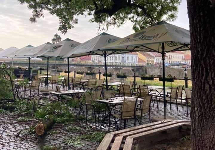 Падіння величезної гілки в центрі Ужгорода: декілька відвідувачів кафетерію отримали травми