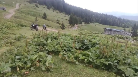 На Рахівщині припинили пошуки 29-річного чоловіка