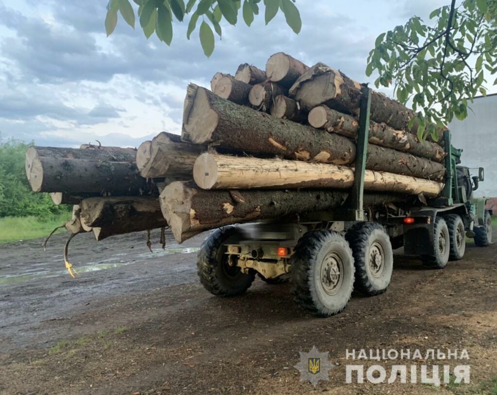 Тячівщина, поліція, затримання, водій, вантажівка, перевезення, сумнівна деревина, походження