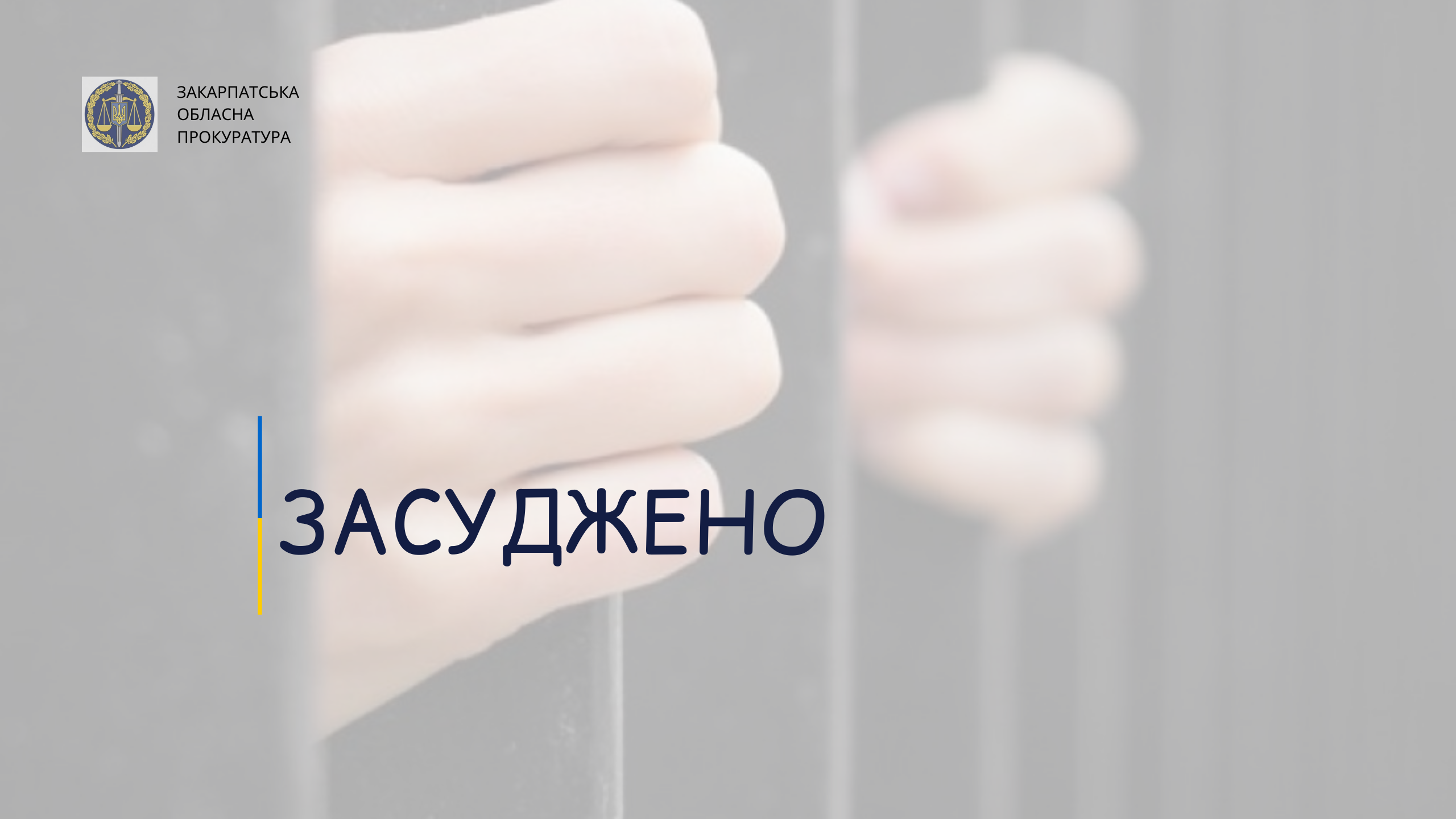Неповнолітній закарпатець зґвалтував дівчинку: хлопцеві присудили 10 років ув`язнення
