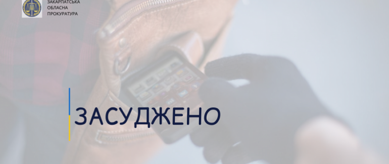 Закарпатця засуджено понад 4 років позбавлення волі за повторний злочин