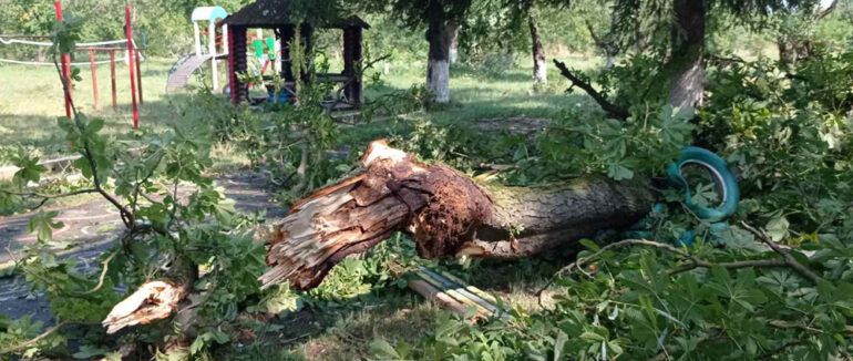 Повалені дерева, підтоплені житлові будинки, знеструмлені населені пункти: буревій на Закарпатті накоїв чимало лиха
