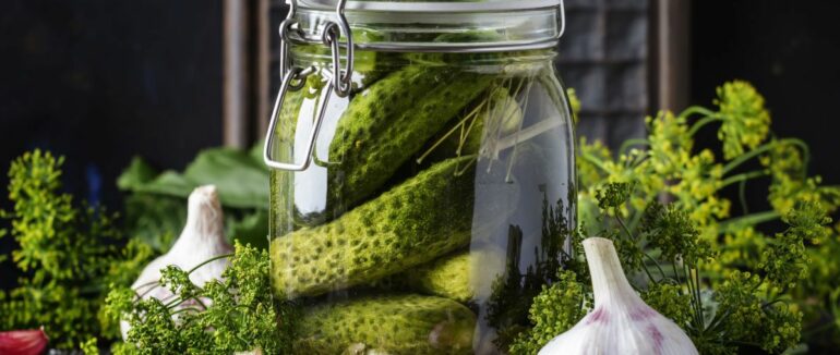 Хрусткі малосольні огірки: рецепт приготування