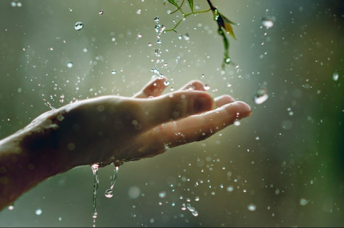 Погодні умови на Закарпатті: синоптики прогнозують дощовий тиждень