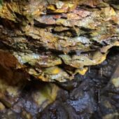 Одна з туристичних цікавинок на Закарпатті: тревел-блогери відшукали маловідомі ртутні штольні