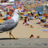 Потрапити до Хорватії вже простіше: нові правила в’їзду для українців