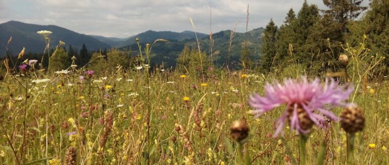 В Мукачівському районі знайшли тіло львів’янина, якого шукали з початку місяця