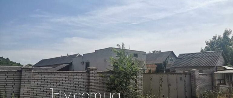 Трупи тварин вздовж вулиці: у Мукачеві поліцією проводиться розслідування