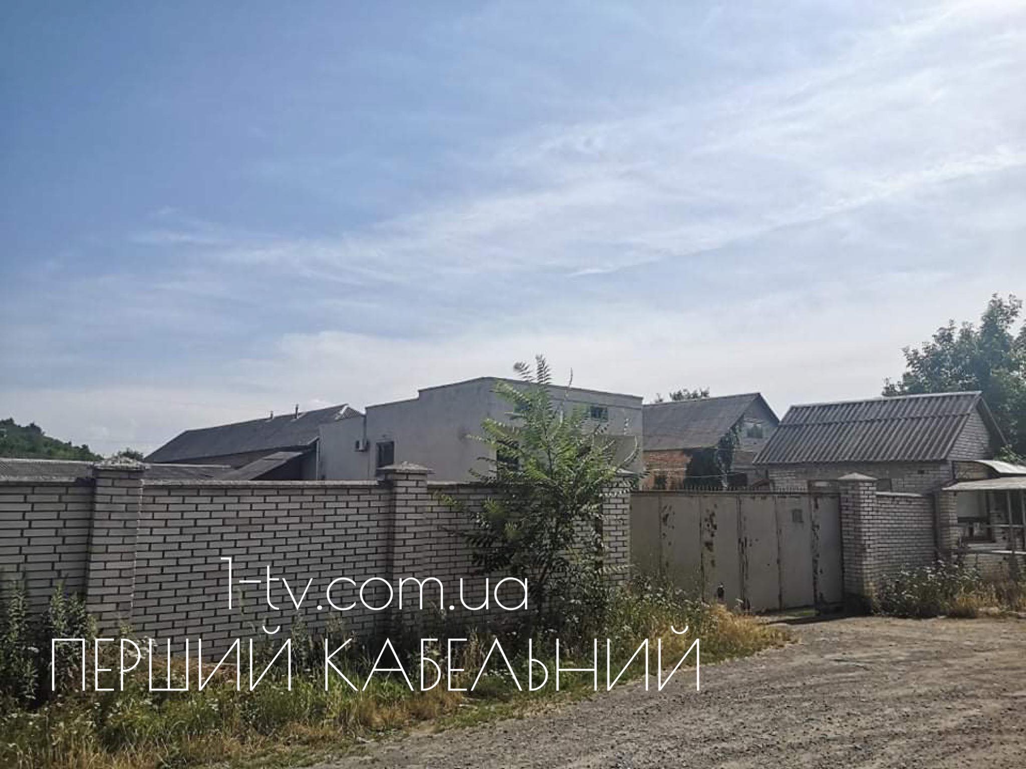 Трупи тварин вздовж вулиці: у Мукачеві поліцією проводиться розслідування