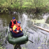 Трагічне купання у Тисі: на Виноградівщині третій день шукають тіло ймовірного потопельника