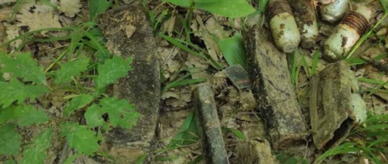 На Мукачівщині у лісі знайшли прихований арсенал боєприпасів