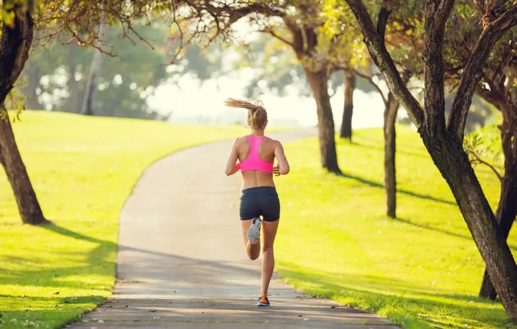 Облаштування бігових доріжок у парку Перені: у Виноградові збирають підписи для петиції