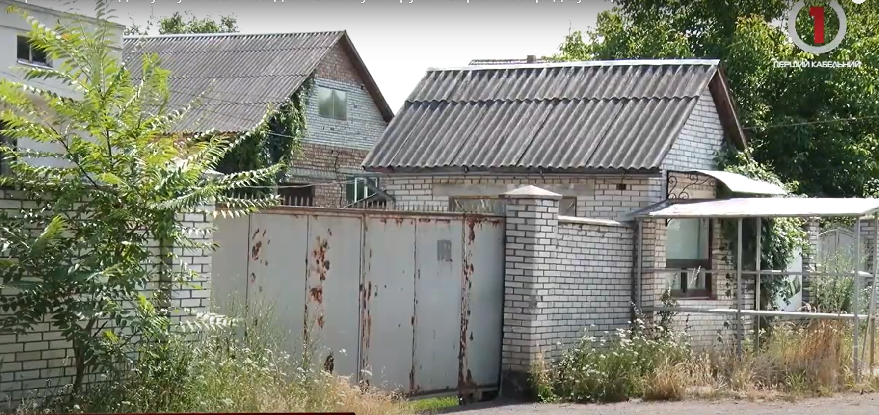 Хто викинув мертву худобу на узбіччя Пряшівської у Мукачеві?  (ФОТО; ВІДЕО)