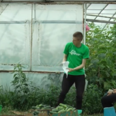 Молитвою і працею: як ужгородські семінаристи вирощують овочі (ВІДЕО)