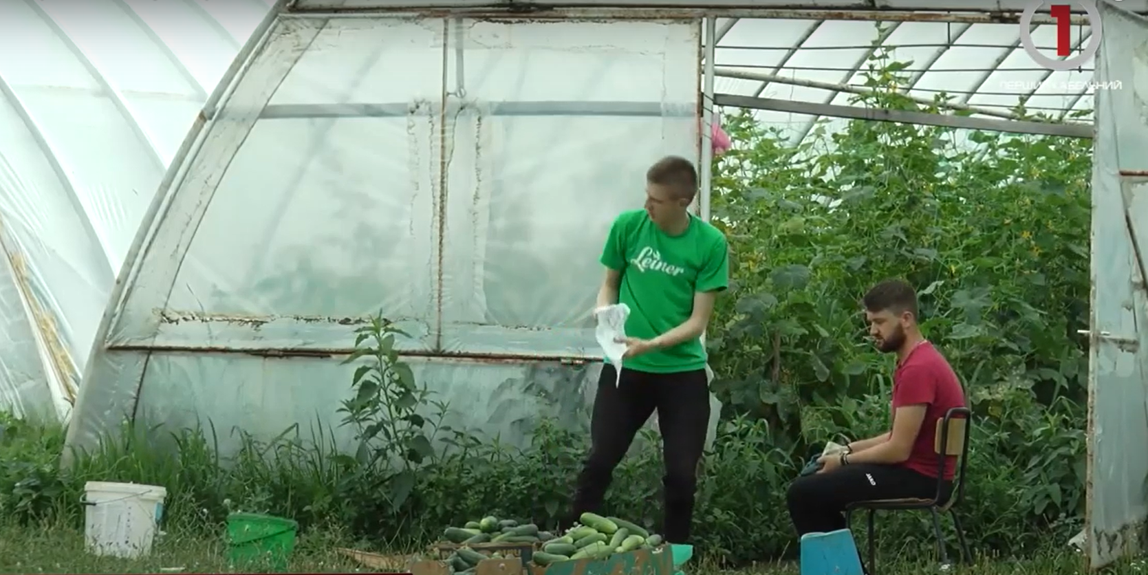 Молитвою і працею: як ужгородські семінаристи вирощують овочі (ВІДЕО)