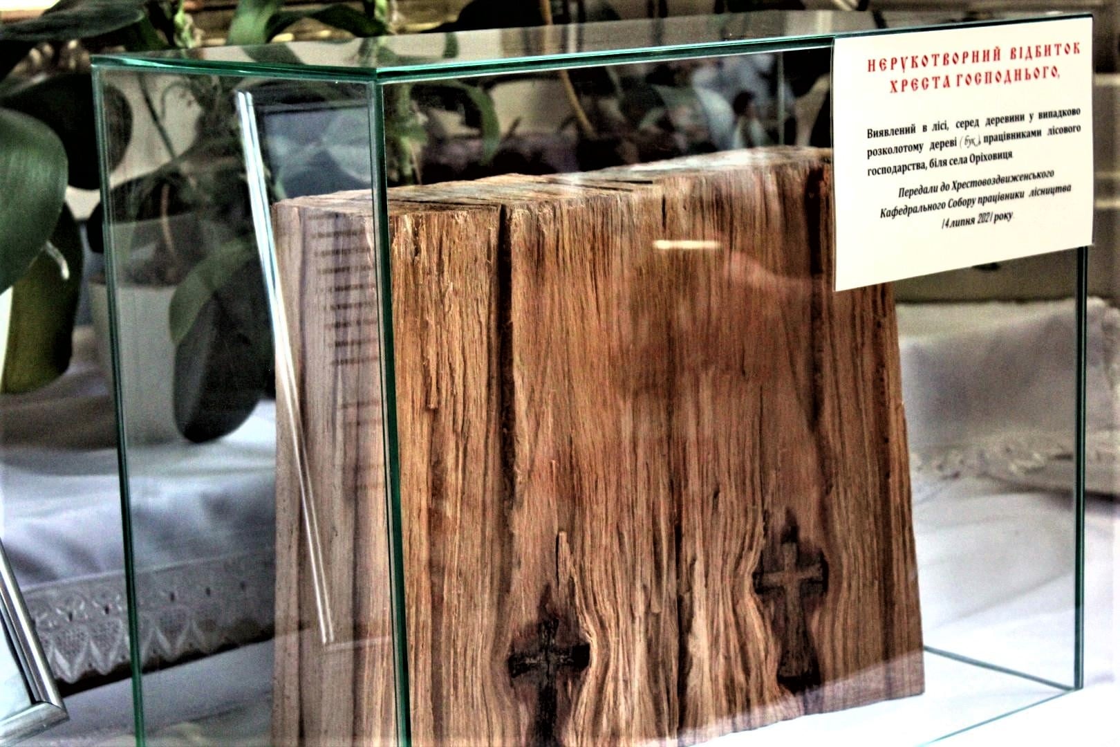 На Закарпатті під час розпилювання деревини лісівники виявили нерукотворний Хрест