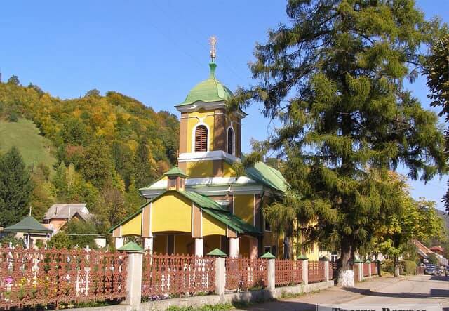 Такі милі й гарні, але нікому не потрібні: у Рахові на кладовищі невідомі викинули собачих цуценят