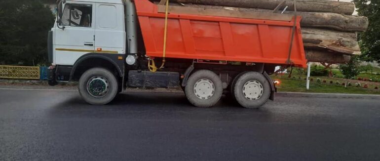 На Рахівщині затримали вантажівку з нелегальною деревиною