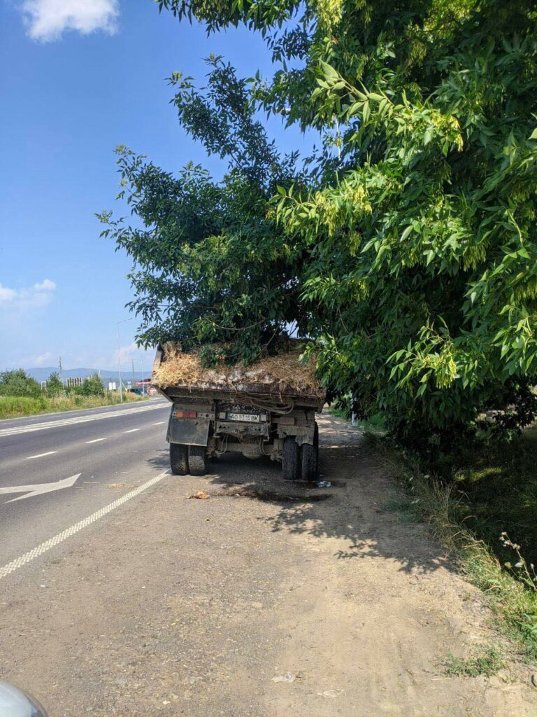 дохлі кури, Ужгород, Глагола, поліція