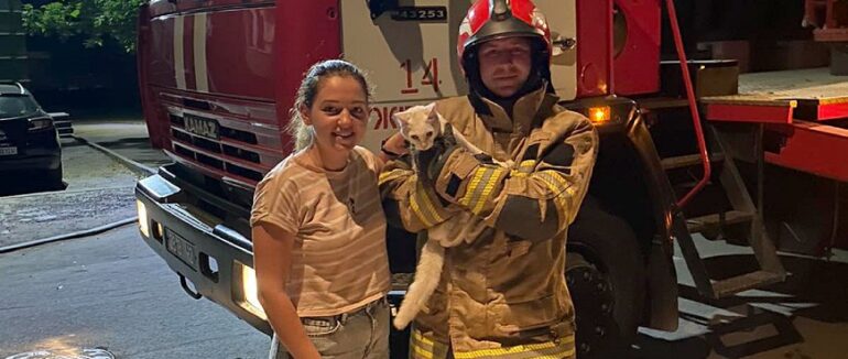 В Ужгороді врятували кота, який не міг злізти з дерева