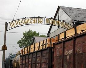 Масове отруєння газовими парами на Закарпатті: одна людина померла, а інших госпіталізовано