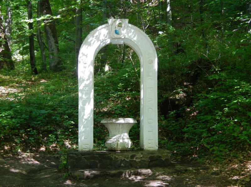 Вода - справжній скарб: у Чинадієві знаходиться цілюще "Джерело краси"