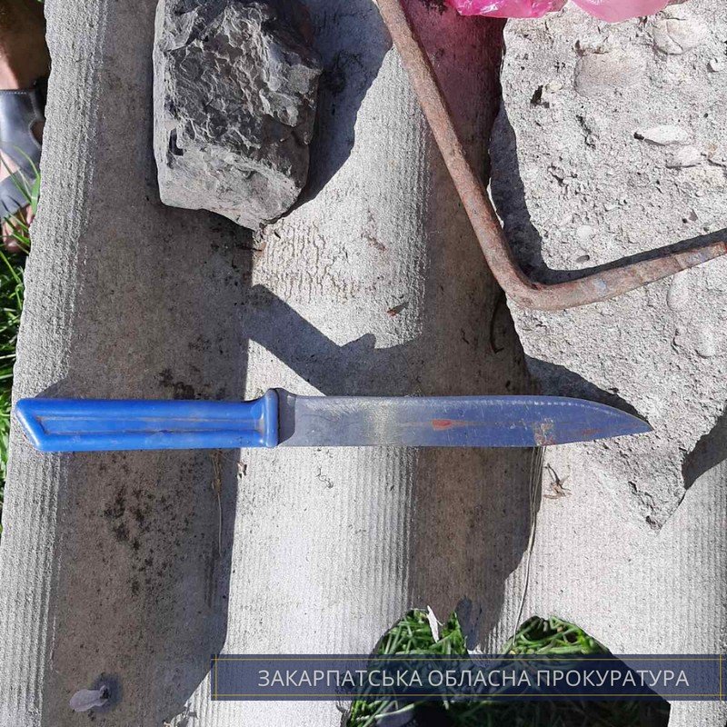 Завдав удар ножем в обличчя, плече та область серця: закарпатця засуджено до 7 років ув’язнення